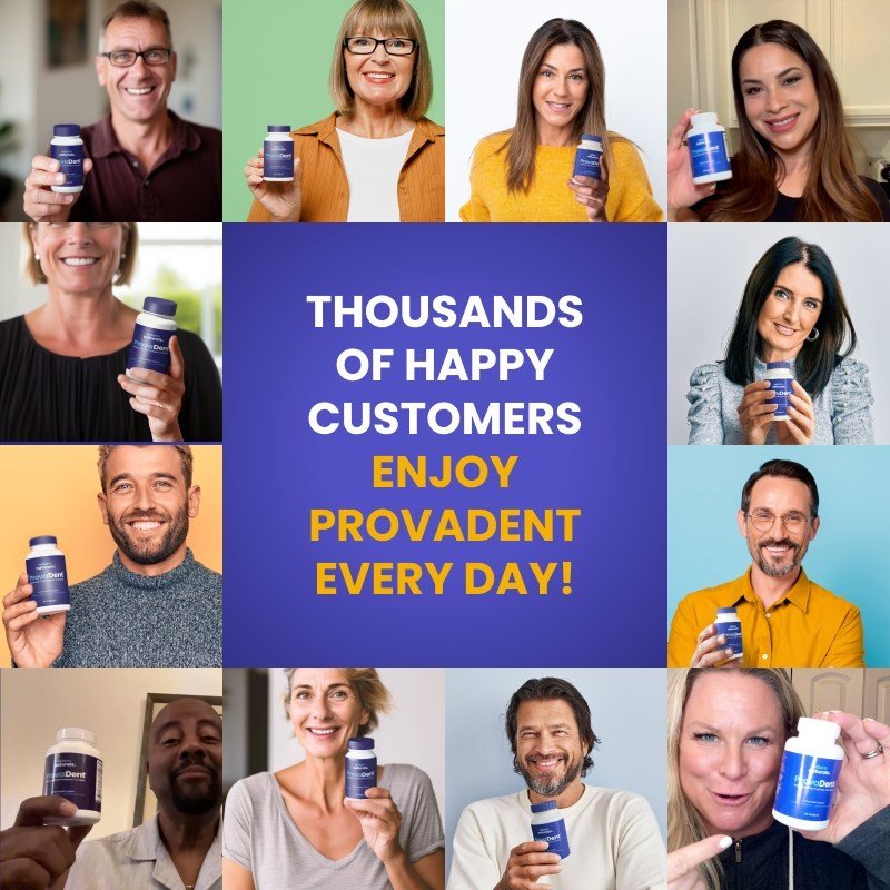 provadent review